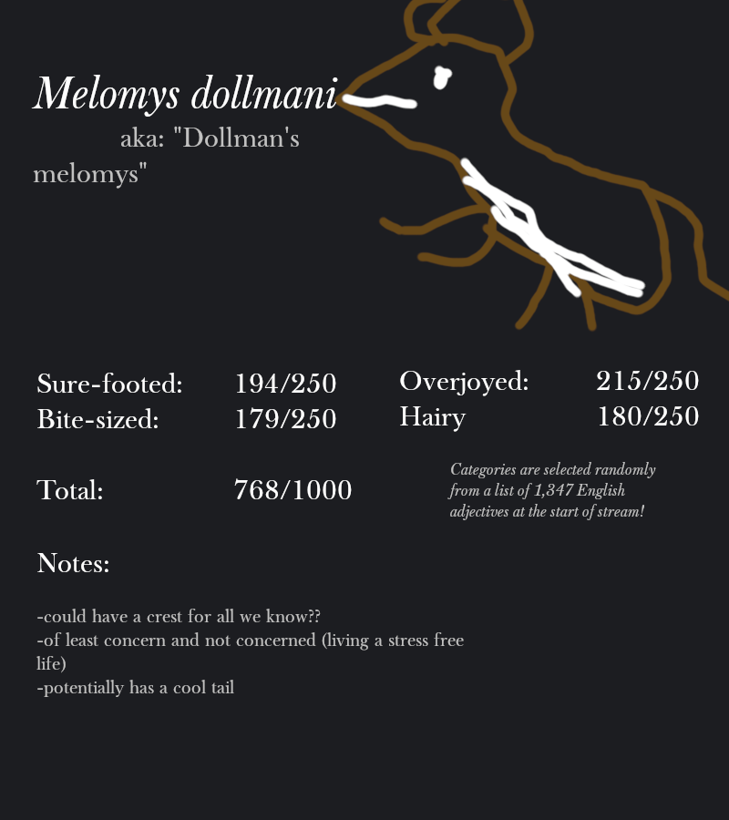 Melomys dollmani